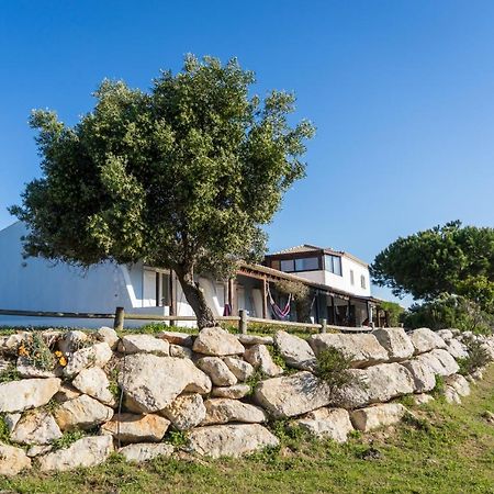 Hotel Monte Velho Retreat Centre Aljezur Exterior foto